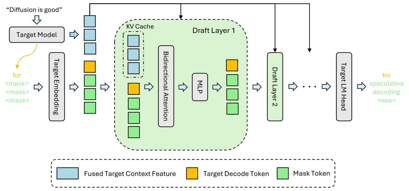 DFlash 论文 Figure 2:target 特征注入每层 draft KV,masked block 一次并行预测